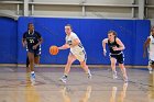 WBBall vs MHC  Wheaton College women's basketball vs Mount Holyoke College. - Photo By: KEITH NORDSTROM : Wheaton, basketball